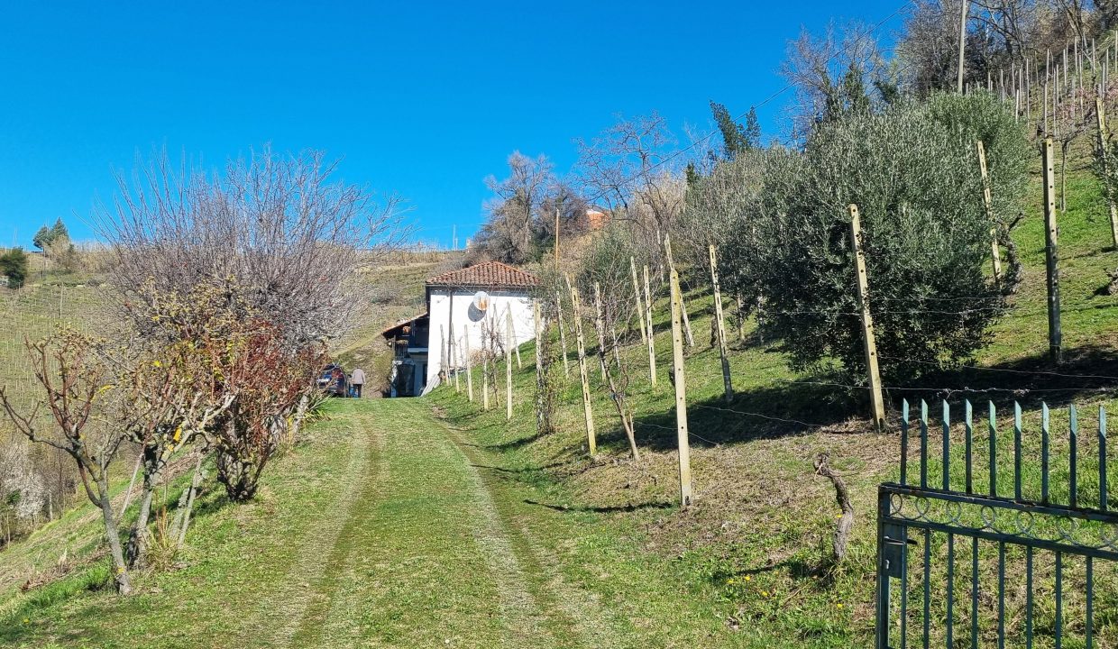 CP-1703_Valdivilla_fabiana_elianne_unesco_monferrato_barbera_piemonte.jpg march (20)