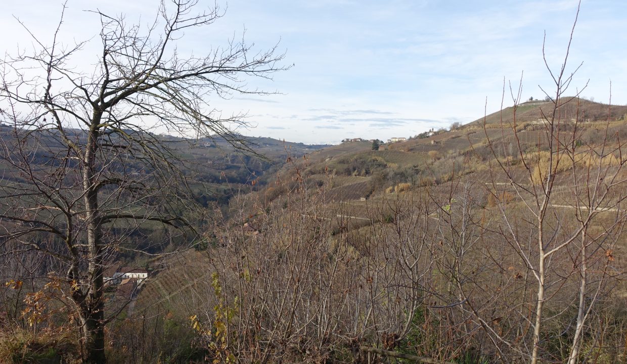 CP-1703_Valdivilla_fabiana_elianne_unesco_monferrato_barbera_piemonte.jpg09584