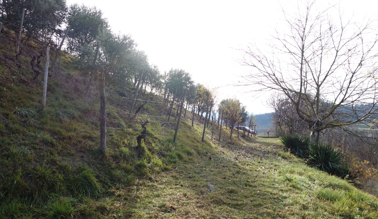 CP-1703_Valdivilla_fabiana_elianne_unesco_monferrato_barbera_piemonte.jpg09588