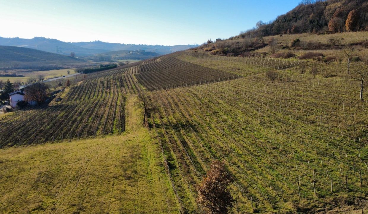 CR-1706_AglianoTerme_fabiana_elianne_unesco_monferrato_piemonte.jpg00004