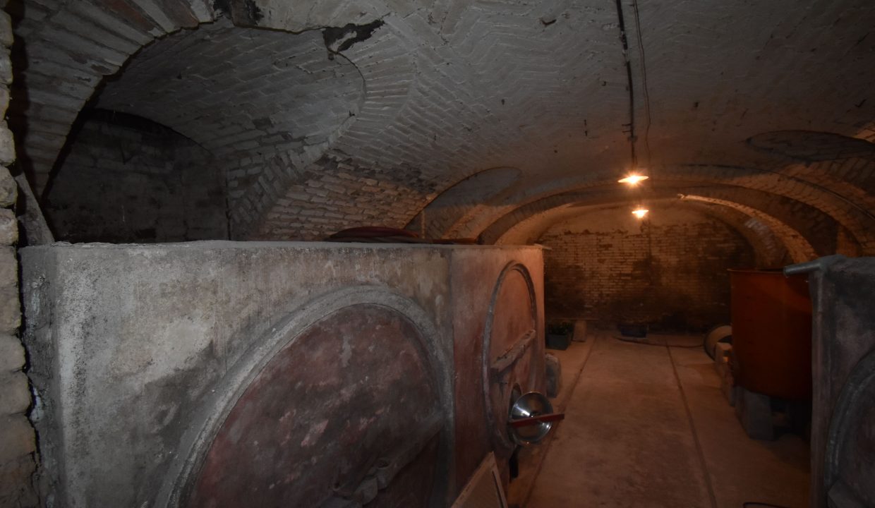 CM-1716_MontegrossodAsti_fabiana_elianne_unesco_monferrato_piemonte.jpg_0839