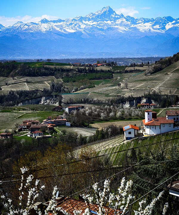 CP-1714_monforte_alba_barolo_elianne_fabiana_piemonte_langhe_unesco_property_project_unique_realestate (12)
