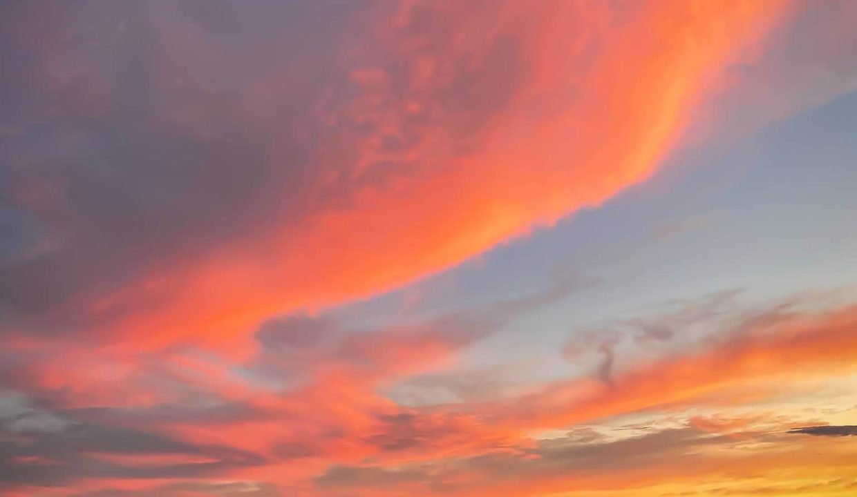 CP-1714_monforte_alba_barolo_elianne_fabiana_piemonte_langhe_unesco_property_project_unique_realestate (32)