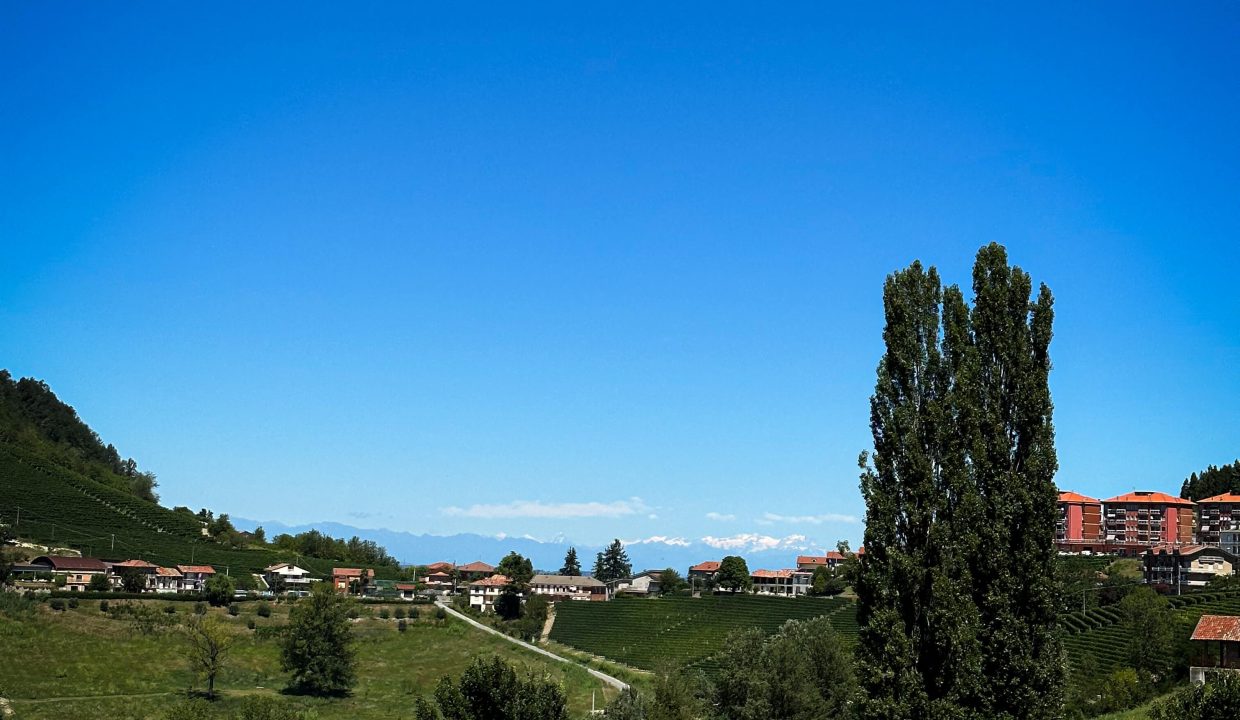 CP-1714_monforte_alba_barolo_elianne_fabiana_piemonte_langhe_unesco_property_project_unique_realestate (7)