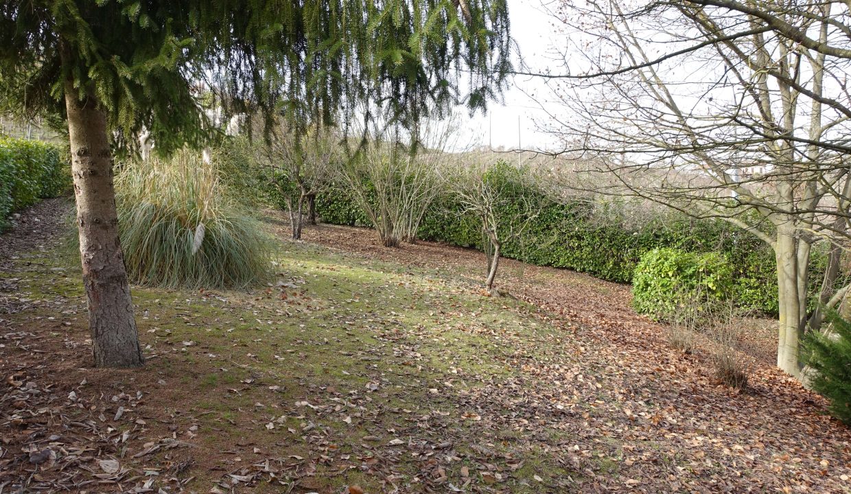 CP-1719_RocchettaPalafea_fabiana_elianne_unesco_monferrato_piemonte.jpg09919