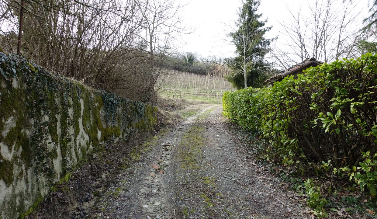 CP-1719_RocchettaPalafea_fabiana_elianne_unesco_monferrato_piemonte.jpg09935