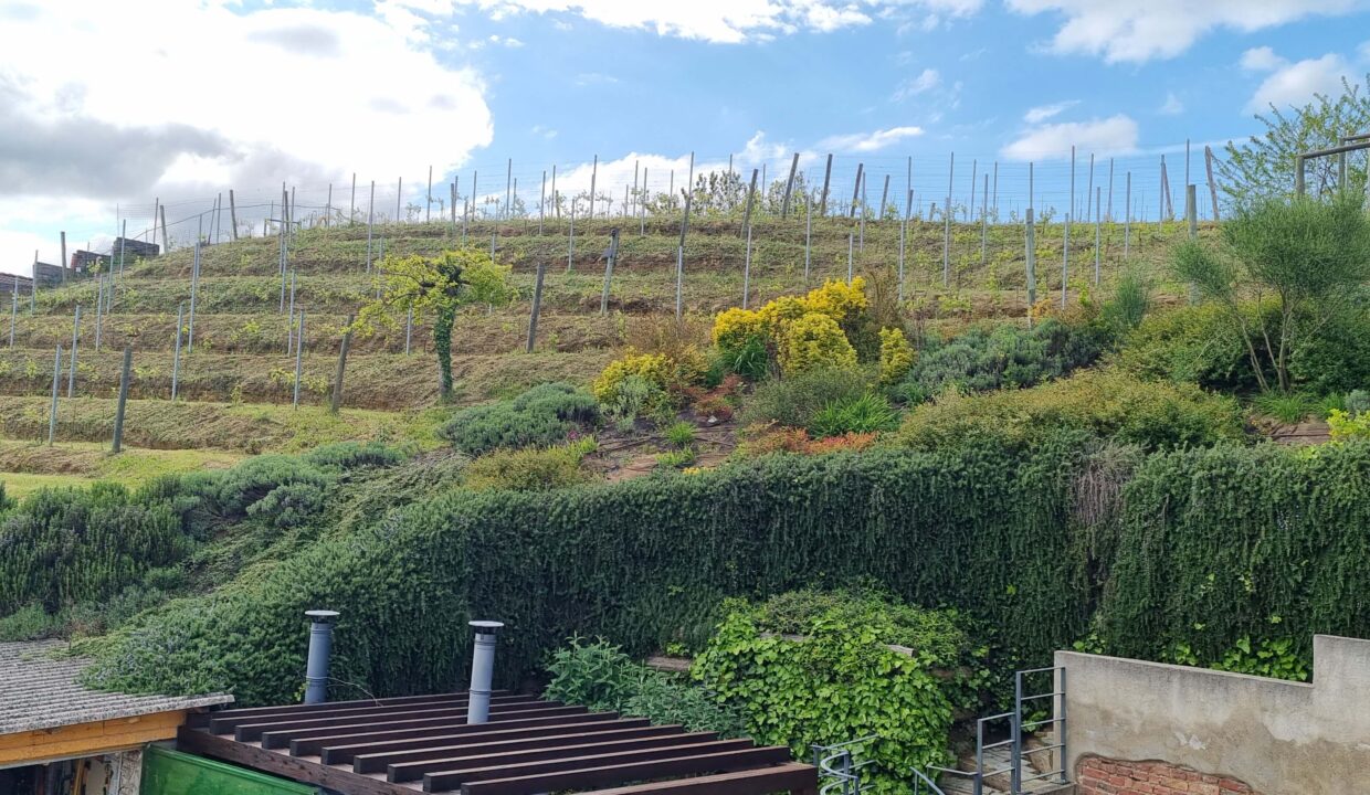 CP-1725_vinchio_unesco_piemonte_elianne_fabiana_barbera_realestate_italialife_dreamingofitaly (23)