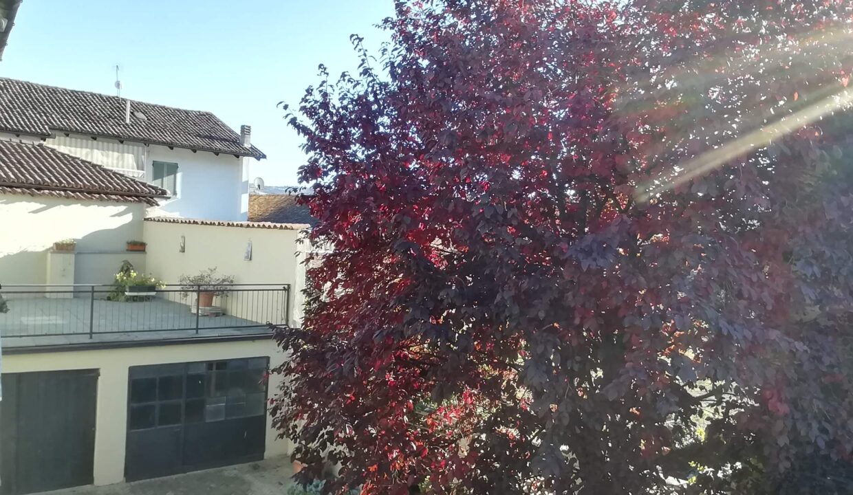 CP-1726_caseinpiemonte_fabiana_elianne_neive_barbaresco_piemonte_realestate_alba_unesco (10)