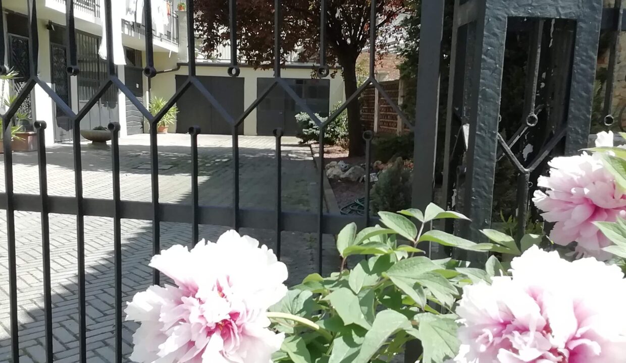 CP-1726_caseinpiemonte_fabiana_elianne_neive_barbaresco_piemonte_realestate_alba_unesco (2)