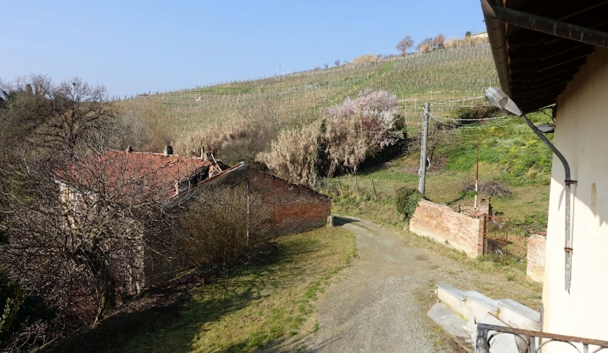 Gemini_Generated_Image_nmgw65nmgw65nmgw