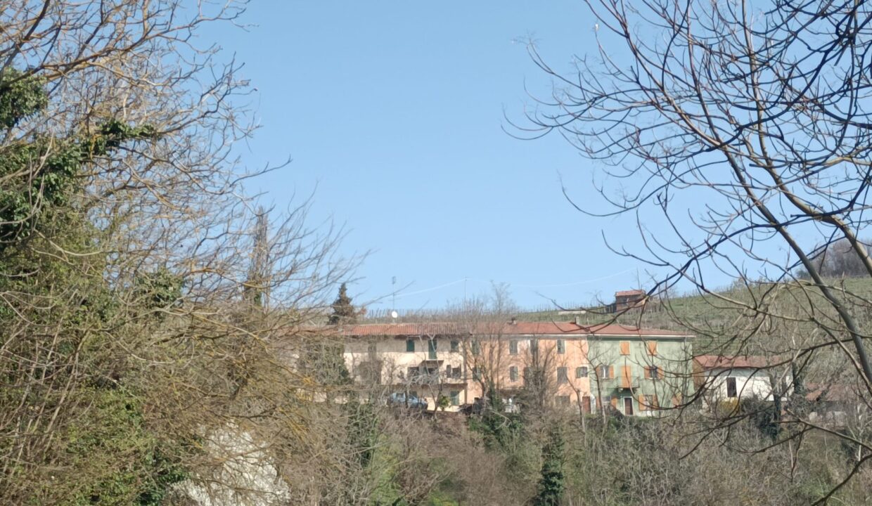 WhatsApp Image 2026-03-13 at 13.09.20 (4)