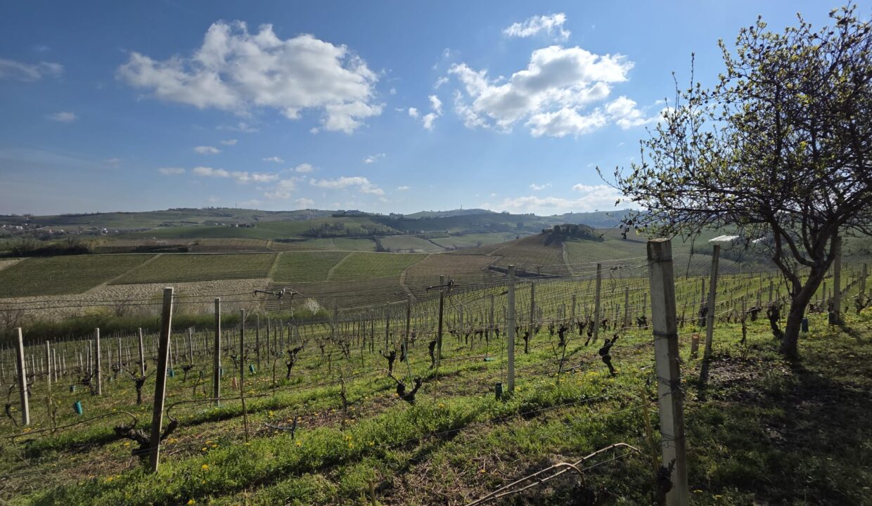 CM-1731_neive_barbaresco_asti_piemonte_elianne_fabiana_caseinpiem