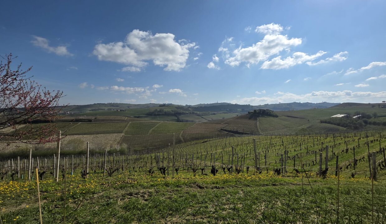 CM-1731_neive_barbaresco_asti_piemonte_elianne_fabiana_caseinpiem (3)