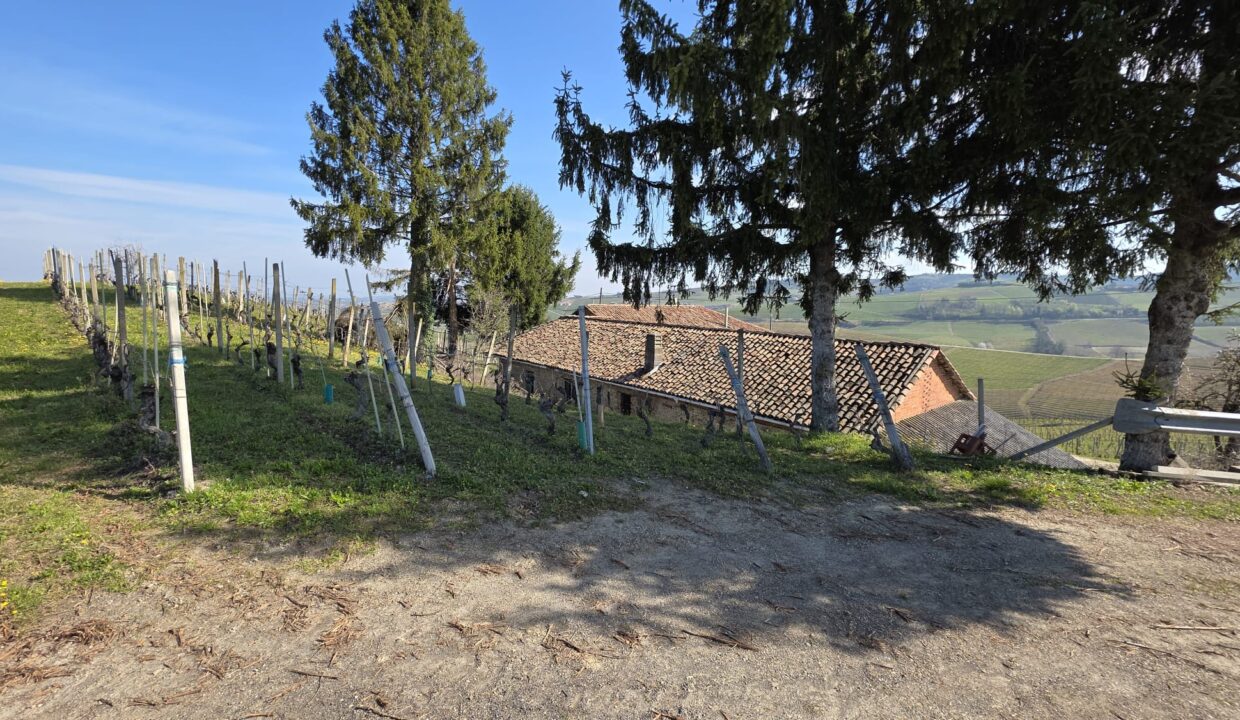 CM-1731_neive_barbaresco_asti_piemonte_elianne_fabiana_caseinpiem (4)