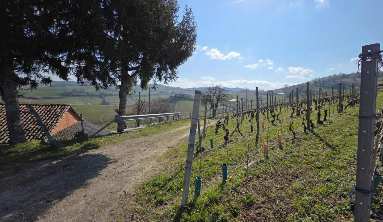 CM-1731_neive_barbaresco_asti_piemonte_elianne_fabiana_caseinpiem (5)