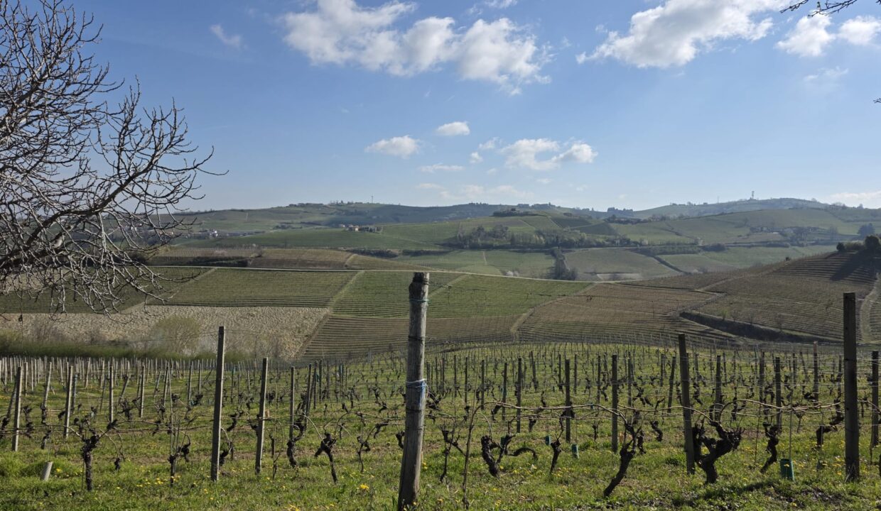 CM-1731_neive_barbaresco_asti_piemonte_elianne_fabiana_caseinpiem (9)