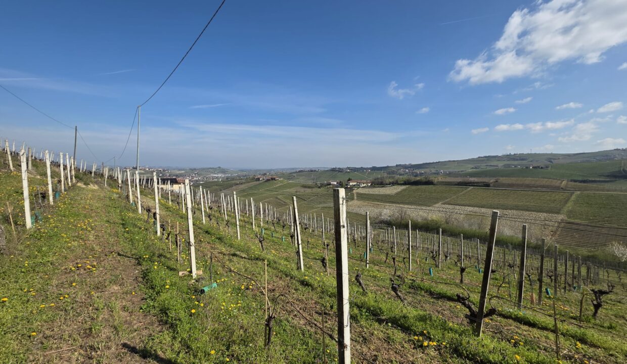 CM-1731_neive_barbaresco_asti_piemonte_elianne_fabiana_caseinpiemont (1)