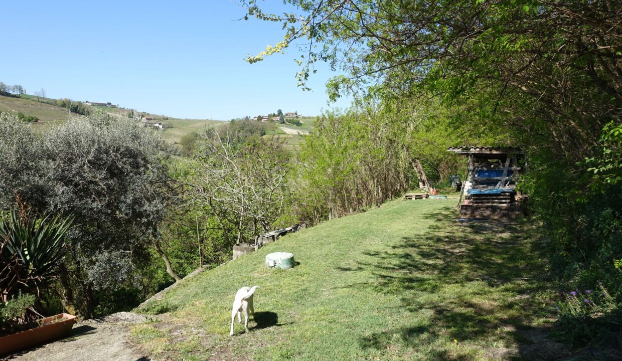 case-in-piemonte-piemonte-properties-real-estate-eli-anne-fabiana-1734 (19)