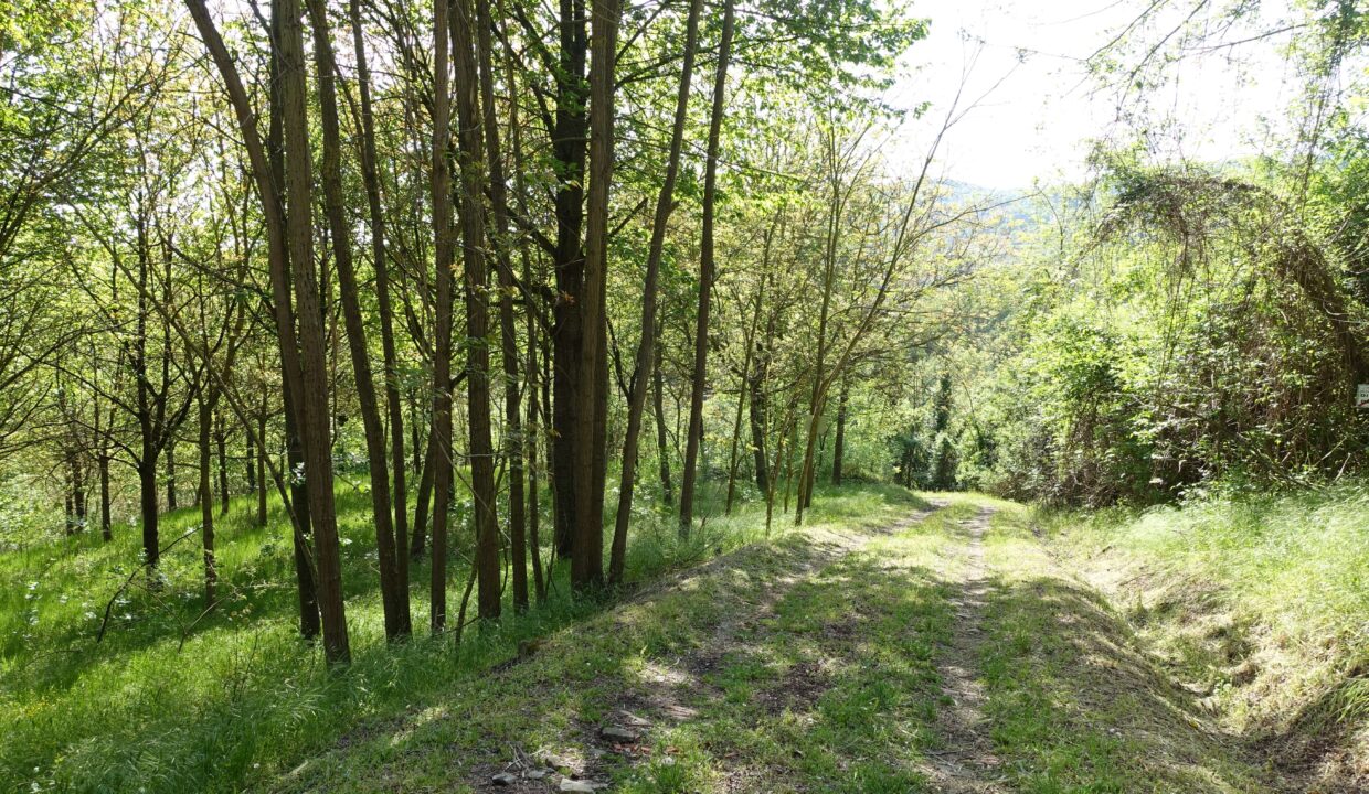 case-in-piemonte-piemonte properties-real estate-eli-anne-fabiana- (56)