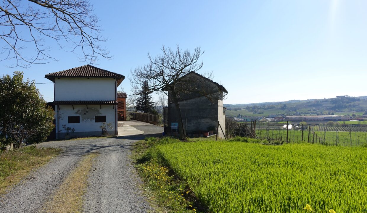 CP-1737_nizza_unesco_caseinpiemonte_fabiana_elianne_homesinpiemonte_cascina_vineyard_barbera_monferrato (1 (23)