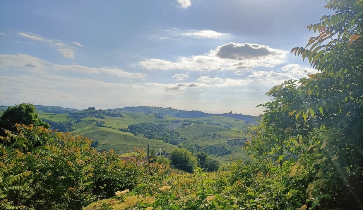 case-in-piemonte-piedmont-properties-real-estate-eli-anne-fabiana (1)