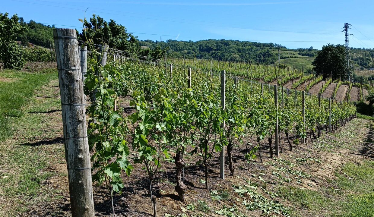 CC-1748_santostefanobelbo_caseinpiemonte_elianne_fabiana_cascina_piemonte_realestate_belbo (11)