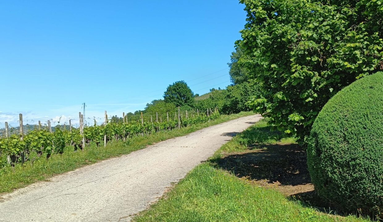 CC-1748_santostefanobelbo_caseinpiemonte_elianne_fabiana_cascina_piemonte_realestate_belbo (6)