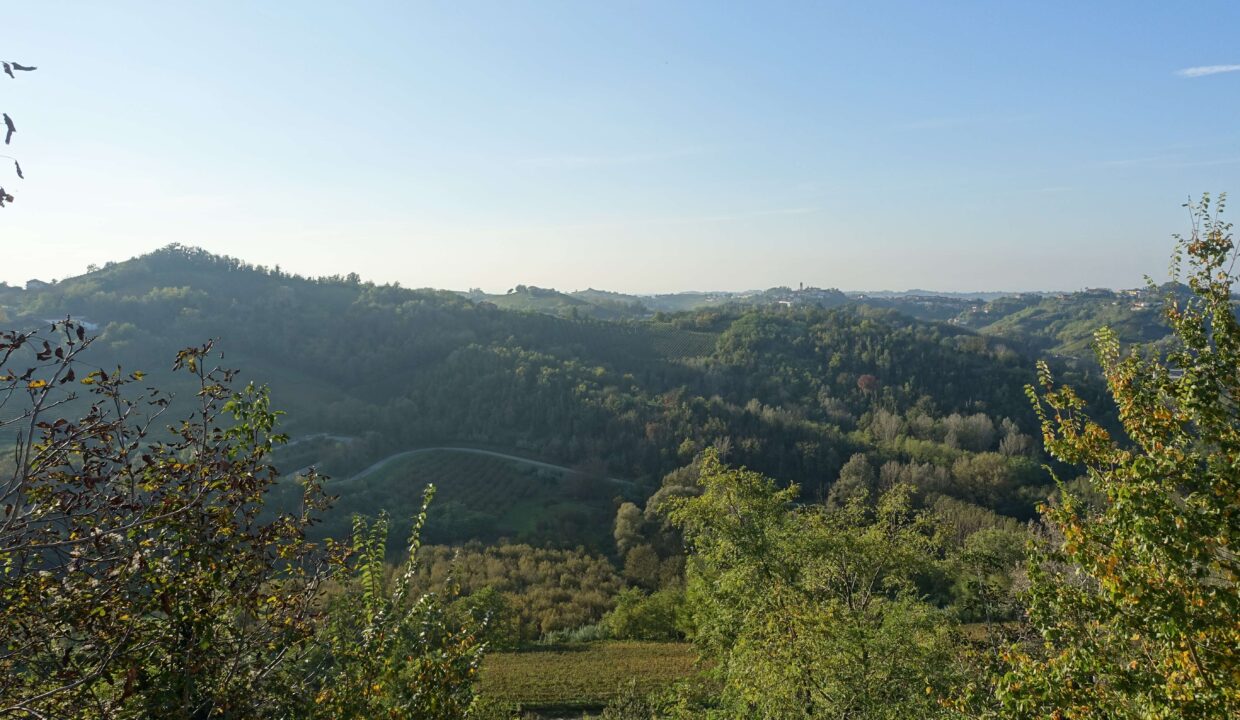 CP-1617_vaglio_barbera_cascina_realestate_caseinpiemonte_elianne_piemonte_unesco_nizza_homesinpiemonte (11)