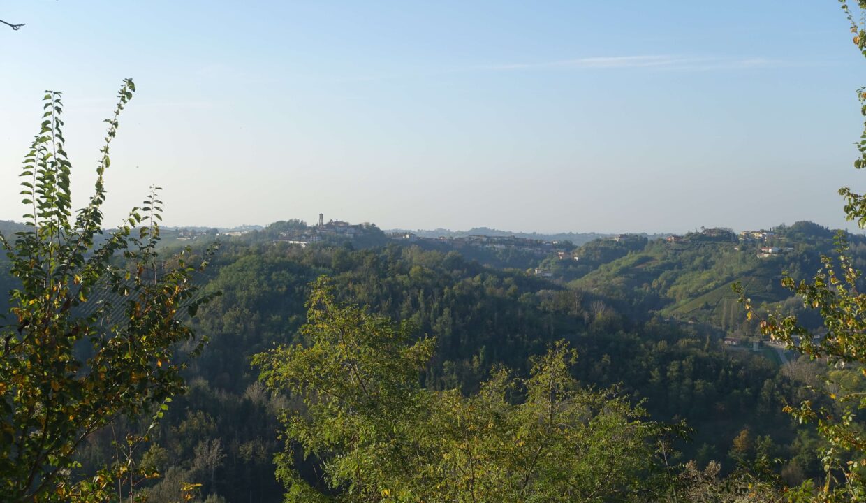 CP-1617_vaglio_barbera_cascina_realestate_caseinpiemonte_elianne_piemonte_unesco_nizza_homesinpiemonte (15)