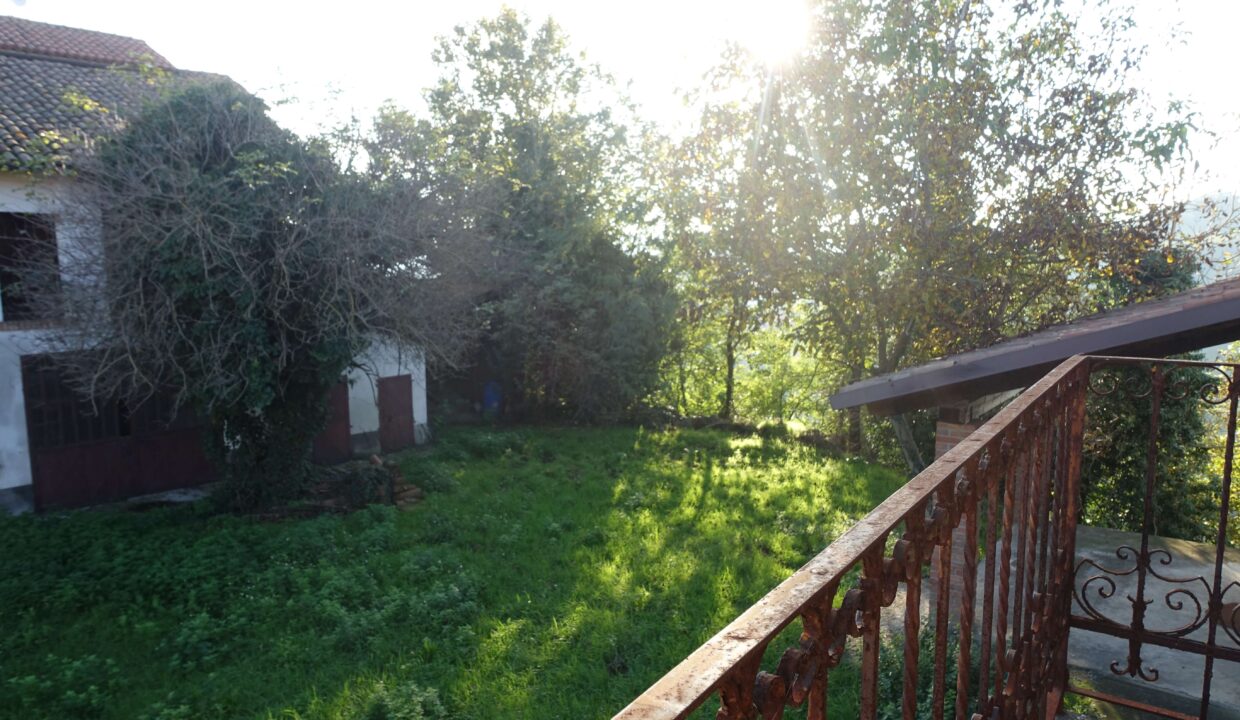 CP-1617_vaglio_barbera_cascina_realestate_caseinpiemonte_elianne_piemonte_unesco_nizza_homesinpiemonte (7)