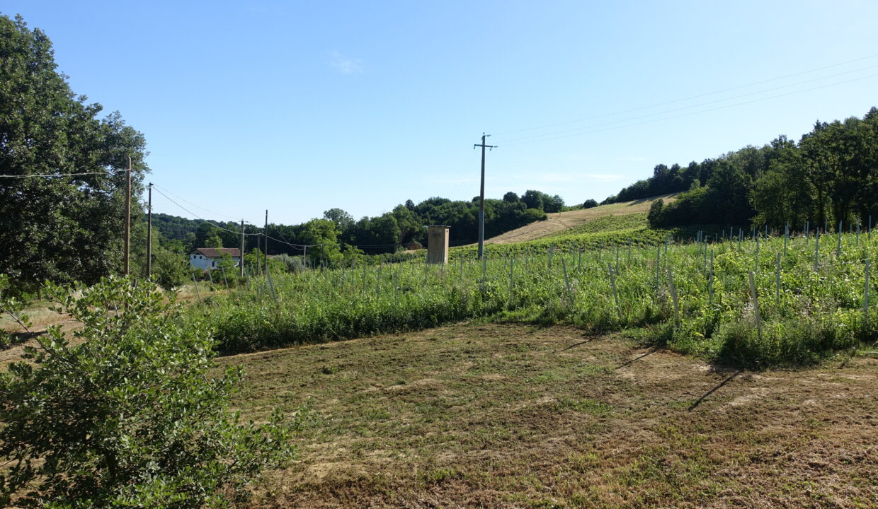 DSC01286