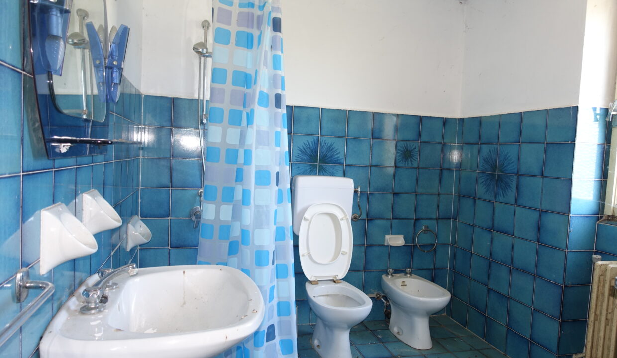 DSC01296