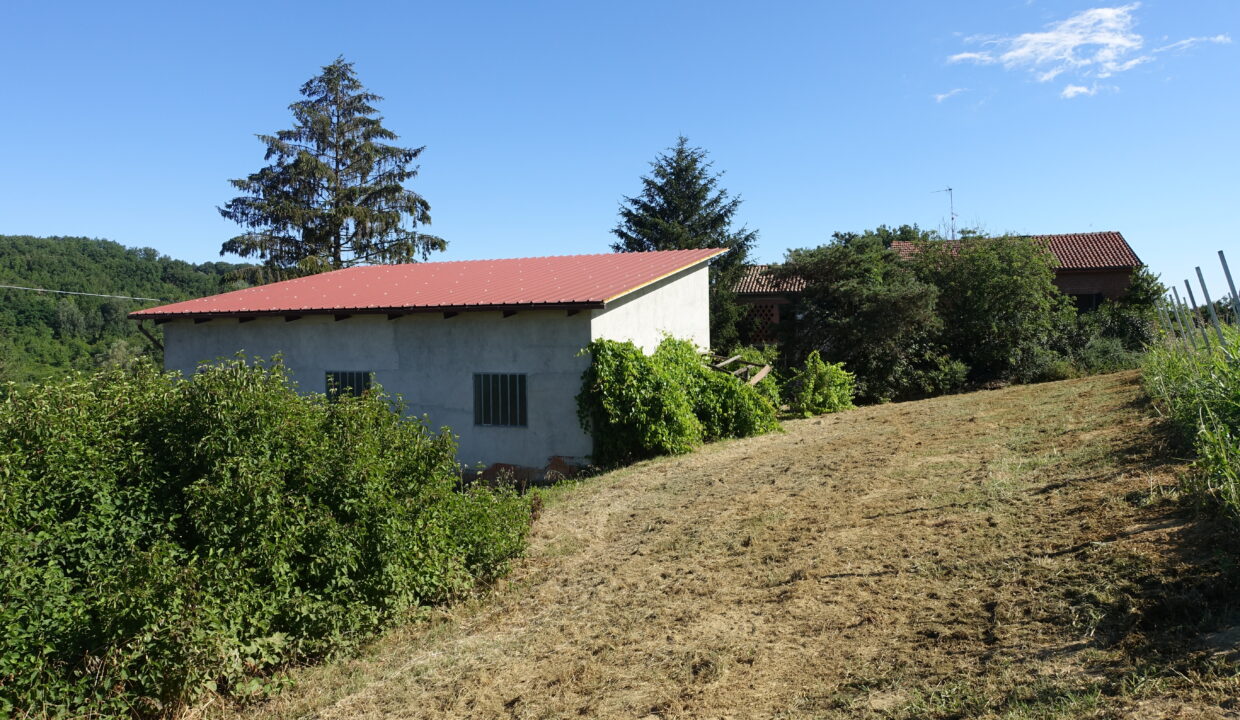 DSC01335