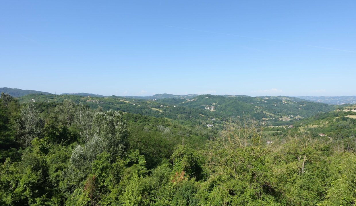 DSC01349