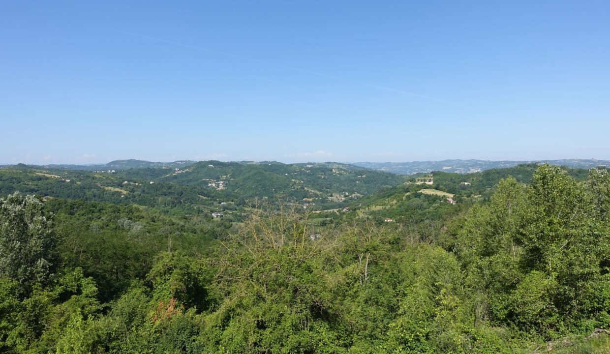 DSC01350