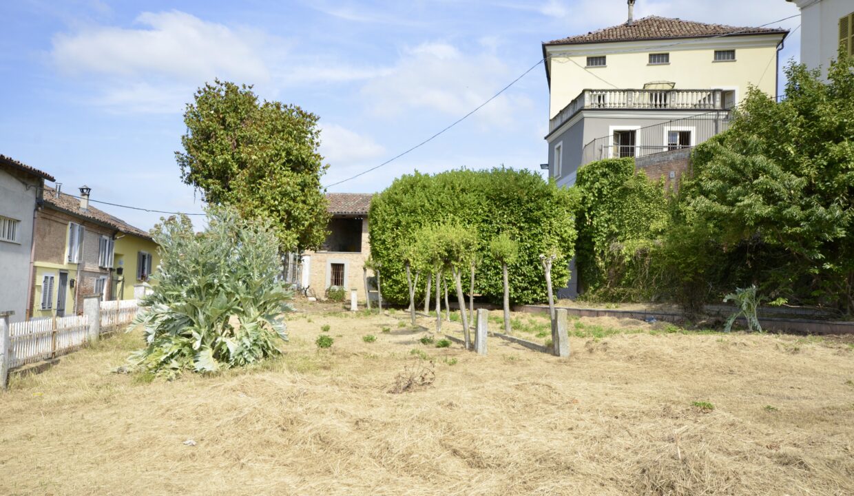 image00011 2