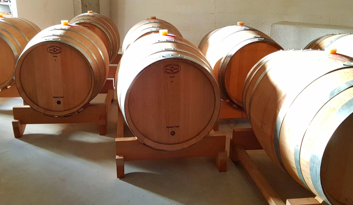 Vinproduksjon barriques