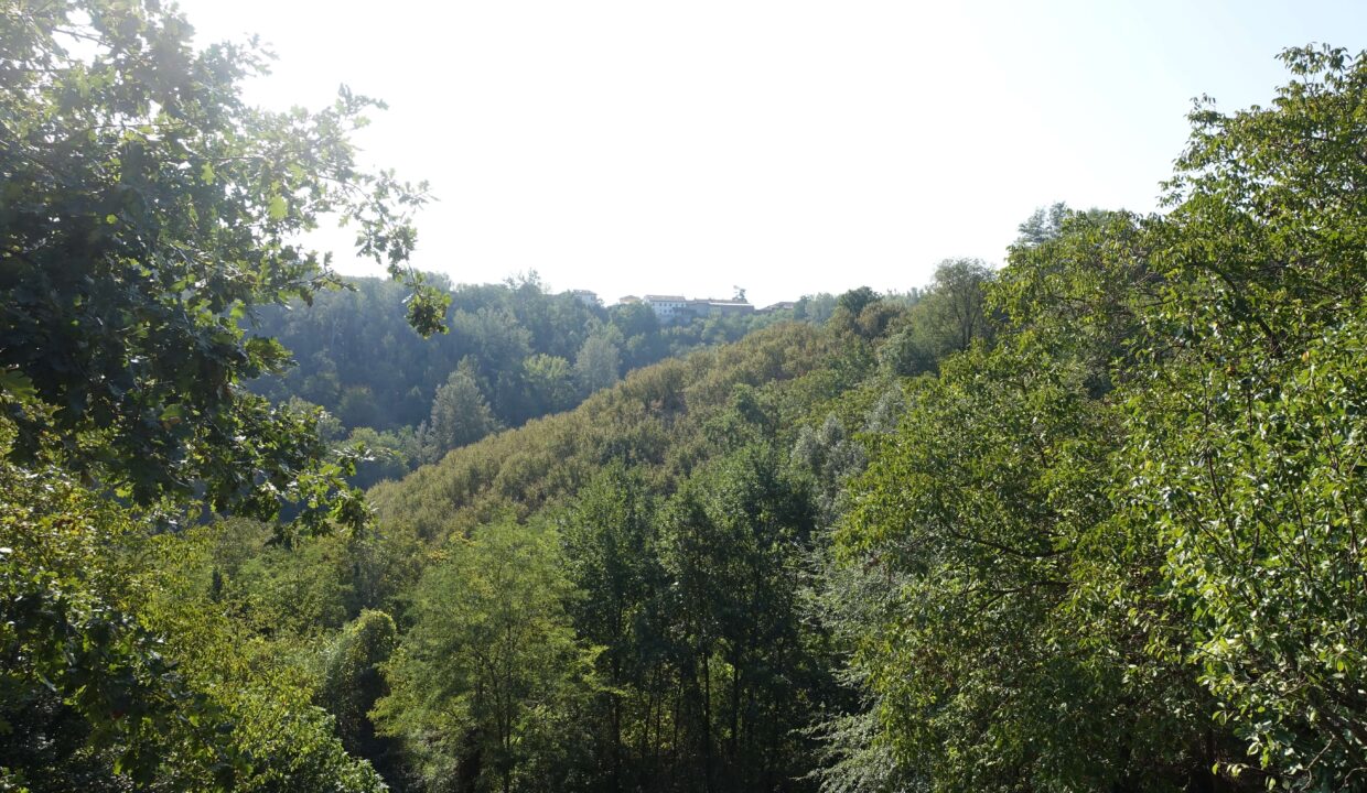 case-in-piemonte-piedmont-properties-real-estate-eli-anne-fabiana-1760 (19)