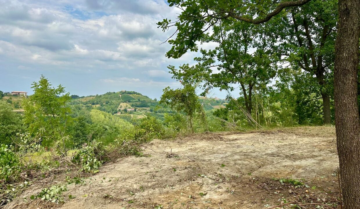 case-in-piemonte-piedmont-properties-real-estate-eli-anne-fabiana-1761 (3)