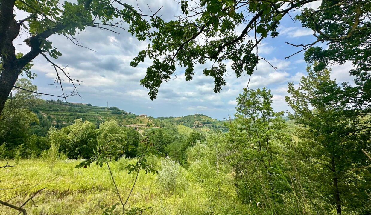 case-in-piemonte-piedmont-properties-real-estate-eli-anne-fabiana-1761 (5)
