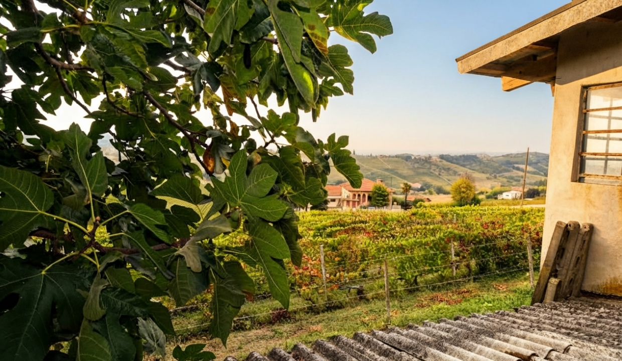case-in-piemonte-piedmont-properties-real-estate-eli-anne-fabiana-1763 (1)