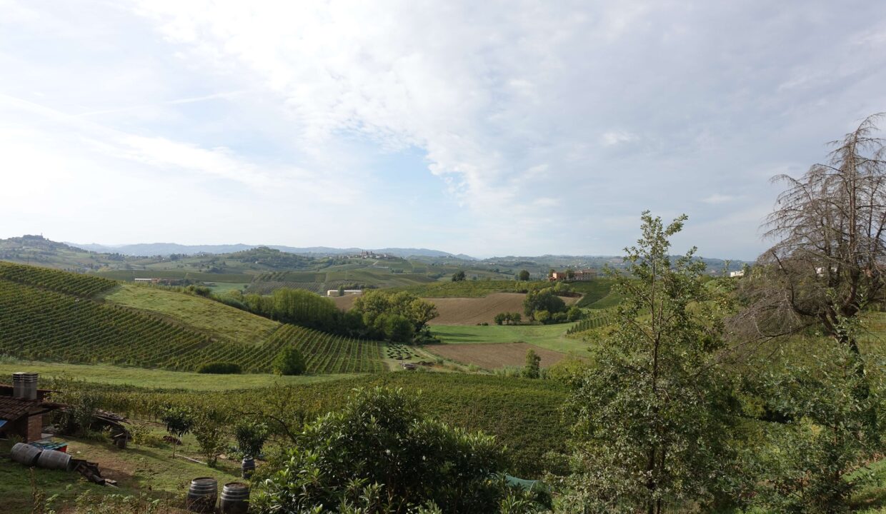 DSC02173