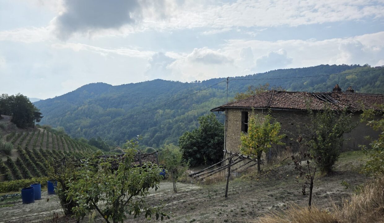 case-in-piemonte-piedmont-properties-real-estate-eli-anne-fabiana-1764 (1)