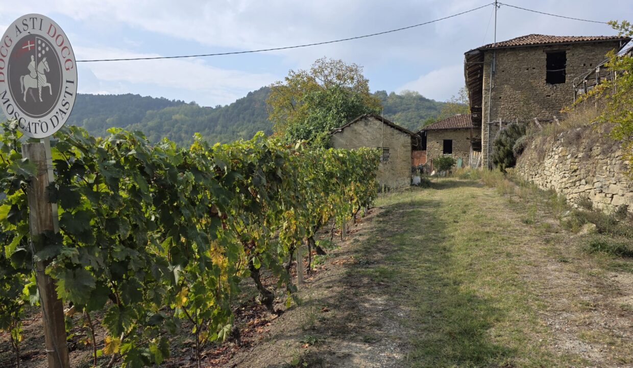 case-in-piemonte-piedmont-properties-real-estate-eli-anne-fabiana-1764 (15)