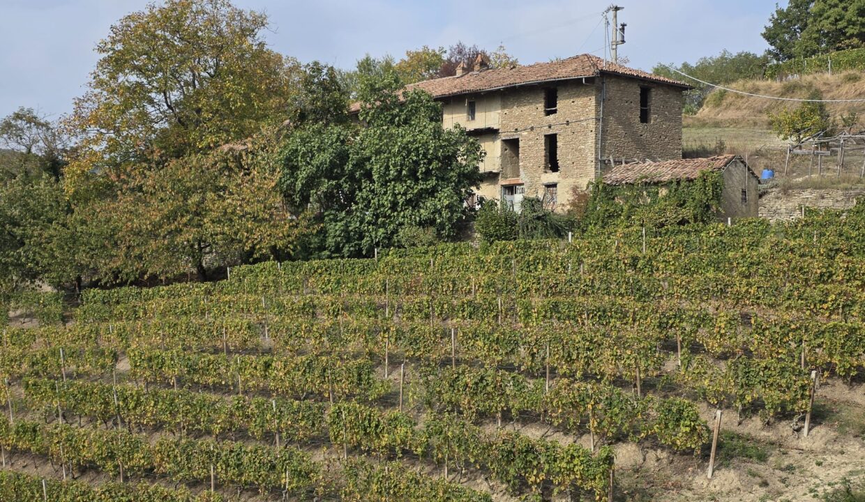 case-in-piemonte-piedmont-properties-real-estate-eli-anne-fabiana-1764 (16)